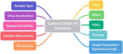 Expert considerations and consensus for using dogs to detect human SARS-CoV-2-infections